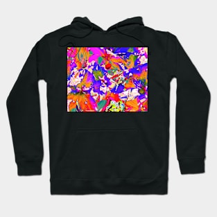 Tropical Punch Hoodie